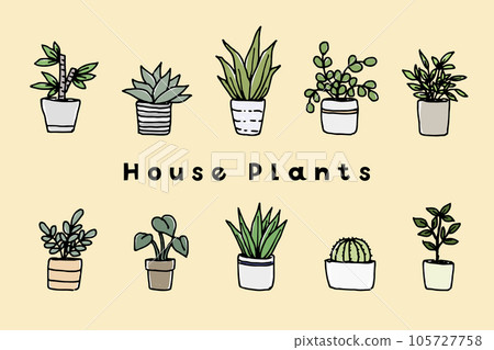 盆栽觀葉植物套裝 105727758