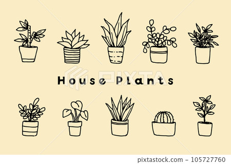 Potted foliage plant set 105727760