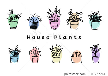 Potted foliage plant set Potted foliage plant set 105727761