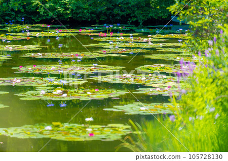 《莫奈花園》Marmottan 105728130