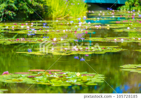 《莫奈花園》Marmottan 105728185