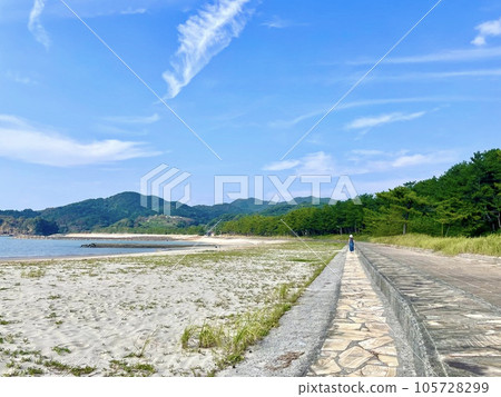 天草白鶴濱海灘 105728299