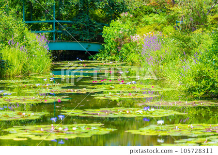 《莫奈花園》Marmottan 105728311