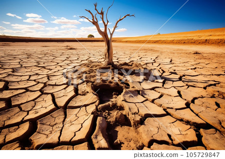 Drought land with isolated died tree, dry soil ground desert area with cracked mud arid landscape. Shortage of water, climate change, global warming concept. Generative AI Drought land with isolated died tree, dry soil ground desert area with cracked mud arid landscape. Shortage of water, climate change, global warming concept. Generative AI 105729847