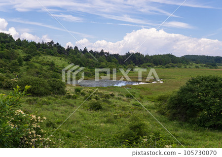 八島原沼澤和夏日天空的複制空間/長野縣霧峰高原 八島原沼澤和夏日天空的複制空間/長野縣霧峰高原 105730070