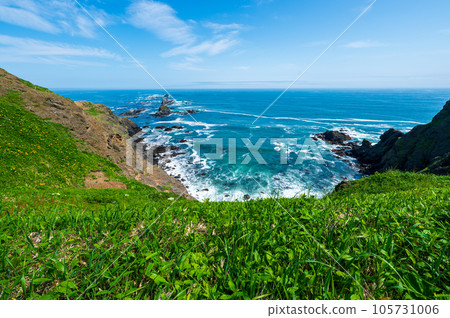 Hokkaido in early summer at Cape Erimo 105731006