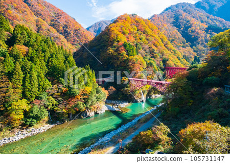 秋天的黑部峽谷(黑部川和山彥橋/新山彥橋) 秋天的黑部峽谷(黑部川和山彥橋/新山彥橋) 105731147