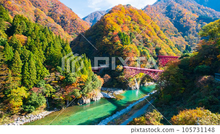 秋天的黑部峽谷(黑部川和山彥橋/新山彥橋) 秋天的黑部峽谷(黑部川和山彥橋/新山彥橋) 105731148