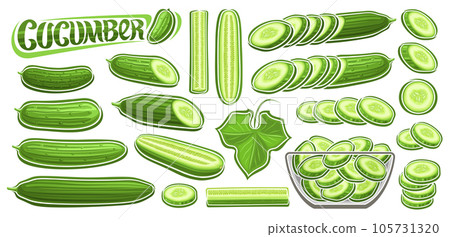 Vector Cucumber Set Vector Cucumber Set 105731320