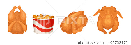 Roasted and Fried Chicken and Nuggets in Bucket Vector Set 105732171