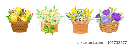 Bunch of Flowers in Bright Box and Basket as Gift Vector Set Bunch of Flowers in Bright Box and Basket as Gift Vector Set 105732377
