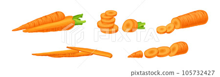 Carrot as Orange Root Vegetable Whole and Sliced Vector Set Carrot as Orange Root Vegetable Whole and Sliced Vector Set 105732427