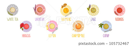 Different Herbal Tea Brewing in Cup Above View Vector Set Different Herbal Tea Brewing in Cup Above View Vector Set 105732467