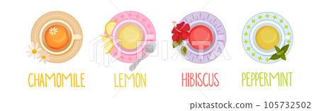 Different Herbal Tea Brewing in Cup Above View Vector Set Different Herbal Tea Brewing in Cup Above View Vector Set 105732502