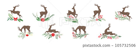 Young Brown Deer with Antlers and Winter Twigs Vector Set 105732506