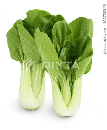Fresh pak choi cabbage isolated on white background with full depth of field 105732546