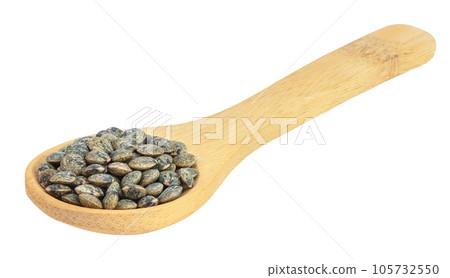 raw french green lentils in wooden spoon isolated on white background with full depth of field 105732550