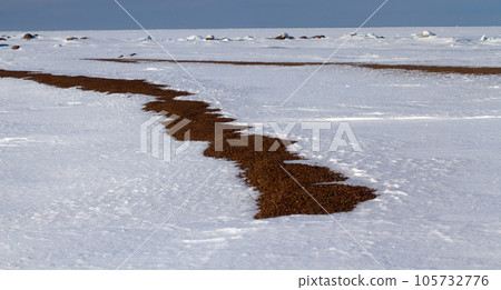 background of fresh snow background of fresh snow 105732776