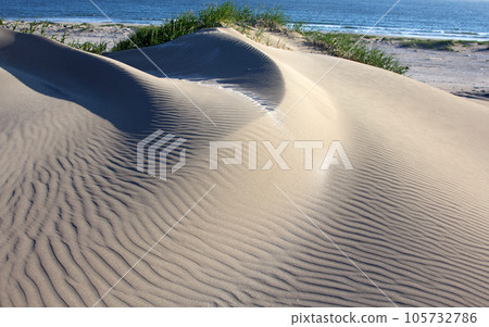 Dune on the bank of the Pacific Ocean Dune on the bank of the Pacific Ocean 105732786