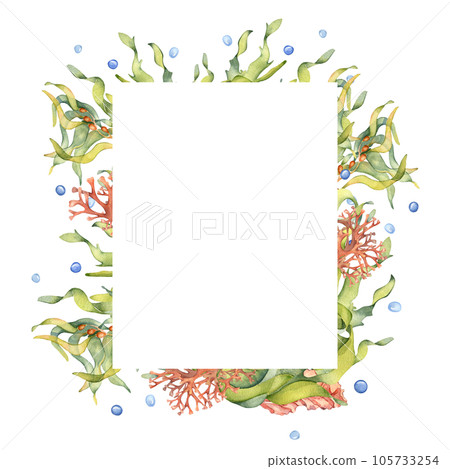 Frame of green sea plant watercolor illustration isolated on white background. Laminaria, brown kelp, red seaweed hand drawn. Design element for package, label, signboard, template, marine collection 105733254