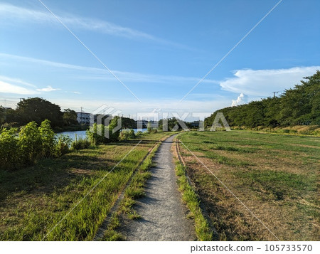 埼玉縣元荒川花仙色公園的夏日風景 埼玉縣元荒川花仙色公園的夏日風景 105733570