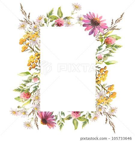 Beautiful floral frame with watercolor hand drawn summer wild field flowers. Garden floral greenery wild flowers for wedding invitation. Nature wild herbs design card template illustrations Beautiful floral frame with watercolor hand drawn summer wild field flowers. Garden floral greenery wild flowers for wedding invitation. Nature wild herbs design card template illustrations 105733646