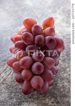 Sunny Rouge with Fresh Yamanashi Grapes 105733776