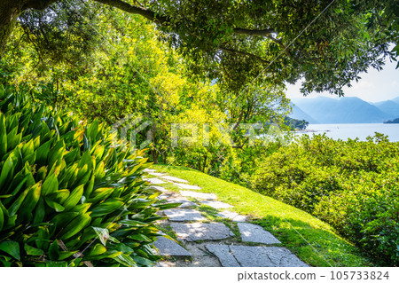 Greenery of botanical gardens at Villa Melzi in Bellagio. Como Lake, Italy Greenery of botanical gardens at Villa Melzi in Bellagio. Como Lake, Italy 105733824