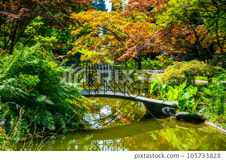 Japanese garden with small bridge at Villa Melzi in Bellagio. Como Lake, Italy Japanese garden with small bridge at Villa Melzi in Bellagio. Como Lake, Italy 105733828