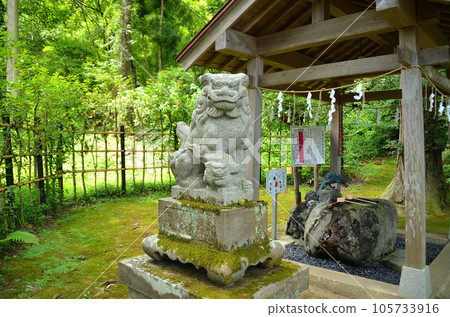 新潟縣上越市春日市的發電站春日神社 105733916