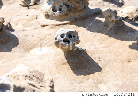 獨特的人面結節(嬰兒潮一代)島根縣濱田市榻見浦千疊敷 獨特的人面結節(嬰兒潮一代)島根縣濱田市榻見浦千疊敷 105734211