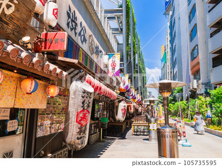 Shibuya Yokocho before noon 105735595