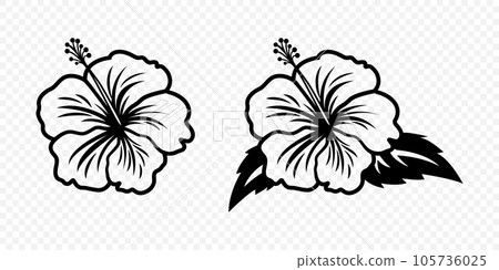 Vector Monochrome Outline Ink Hibiscus. Chinese Rose Set. Floral Design Elements. Hibiscus Flower Linear Black and White Icon, Tattoo. Hibiscus Flowers Isolated Vector Monochrome Outline Ink Hibiscus. Chinese Rose Set. Floral Design Elements. Hibiscus Flower Linear Black and White Icon, Tattoo. Hibiscus Flowers Isolated 105736025