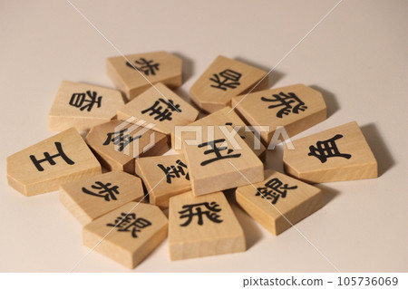 Shogi pieces are lined up on a white background Shogi pieces are lined up on a white background 105736069