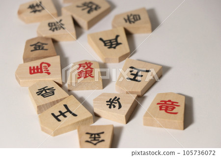將棋棋子排列在白色背景上 105736072