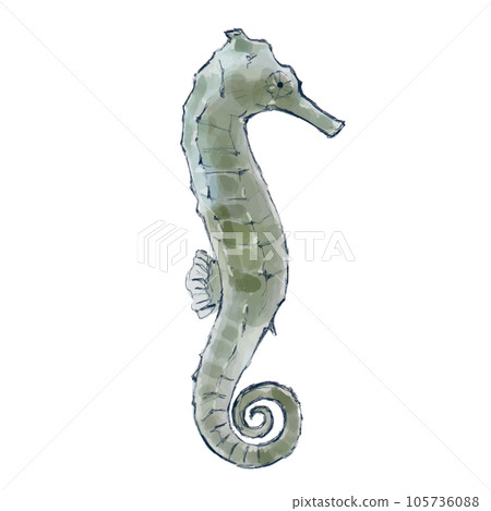 Zodiac dragon handwritten illustration material Zodiac dragon handwritten illustration material 105736088