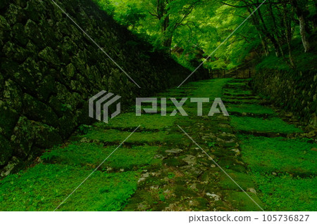 青苔美麗的百濟寺 105736827