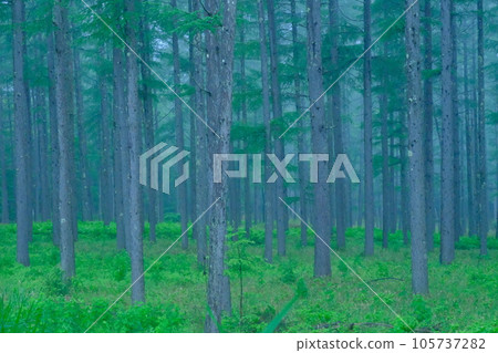 沒有聲音的風景 沒有聲音的風景 105737282