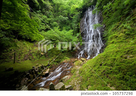 Shimofuri Falls (Aminocho, Kyotango City, Kyoto Prefecture) Shimofuri Falls (Aminocho, Kyotango City, Kyoto Prefecture) 105737298
