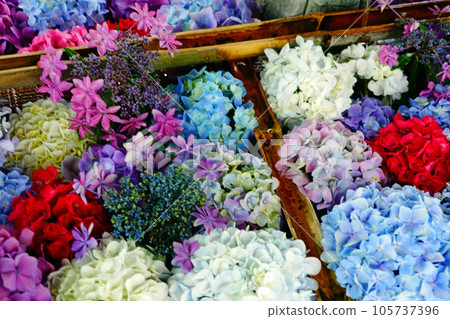 Echizen Sojin, Asuwa Shrine, Emperor Keitai, Natural Memorial, Shidarezakura, Hananezu 105737396