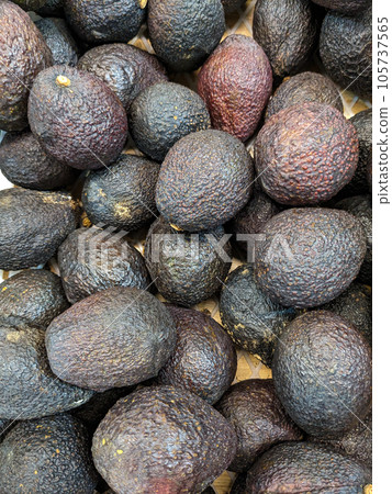 Lots of hass avocado top view 105737565