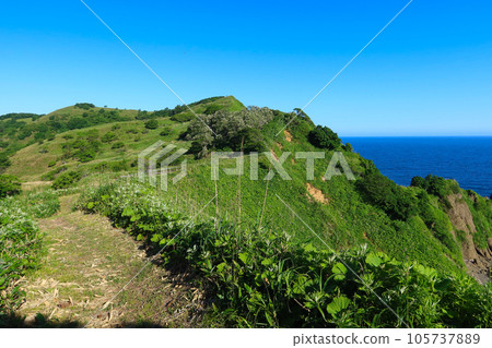 Shakotan Peninsula/Shakotan Cape Nature Trail 105737889