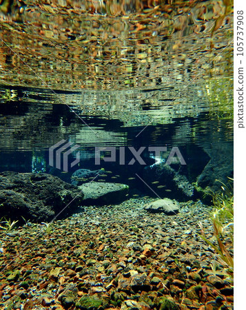 A spring of spring water where fish flock A spring of spring water where fish flock 105737908