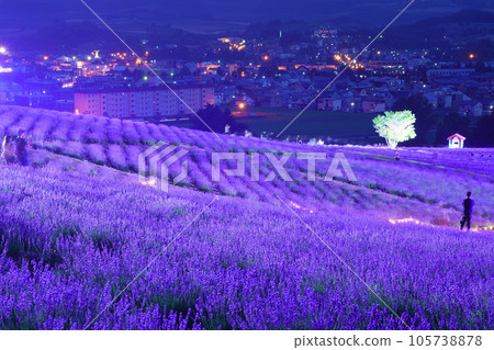 （北海道）上富良野日之出公園薰衣草園點燈 105738878