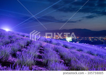 （北海道）上富良野日之出公園薰衣草園點燈 105738885