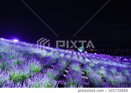 (北海道)上富良野日之出公園薰衣草園點燈 (北海道)上富良野日之出公園薰衣草園點燈 105738890