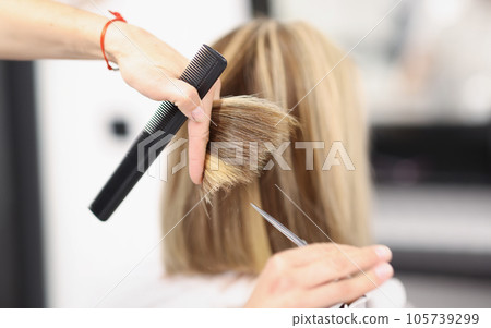 Hairdresser holds scissors and comb in his hand and cuts the ends of hair 105739299