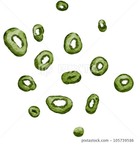 Sliced spring onion watercolor style painting Sliced spring onion watercolor style painting 105739586