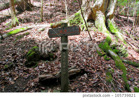 Pon Pon mountain destination information board 105739821