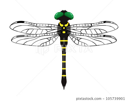 Onyanma's illustration _ wings transparent 105739901